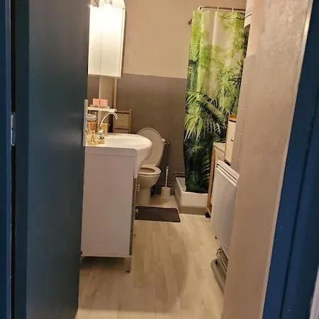 Tarif Reduit Pour Curistes 400 M Des Termes Apartmán *